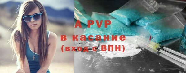 индика Магас
