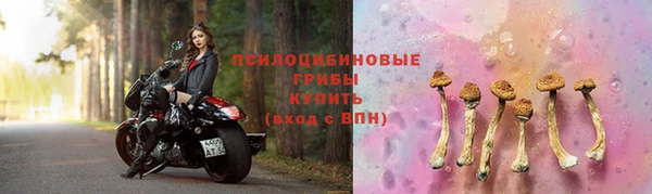 индика Магас