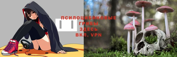 индика Магас