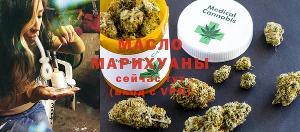 индика Магас