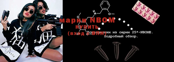 индика Магас