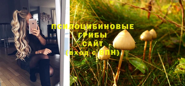 индика Магас