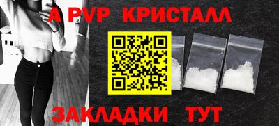 стаф Дубна