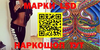 стаф Донской