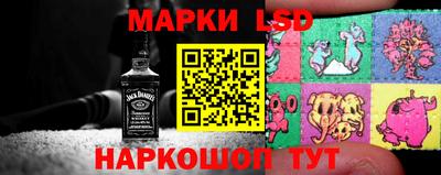 стаф Дубна