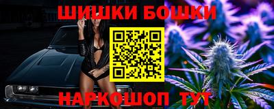 стаф Дубна