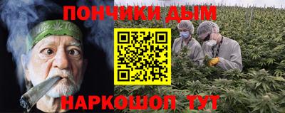 стаф Дубна