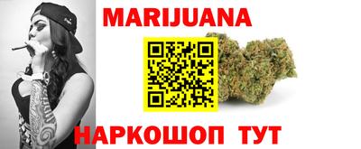 стаф Дубна