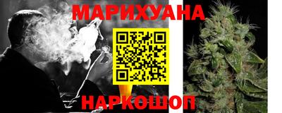 стаф Дубна