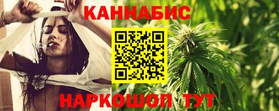 стаф Донской