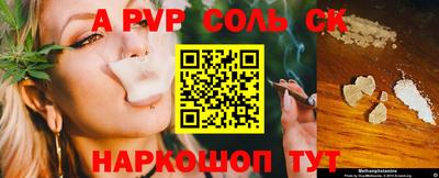 стаф Дубна
