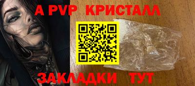 стаф Донской