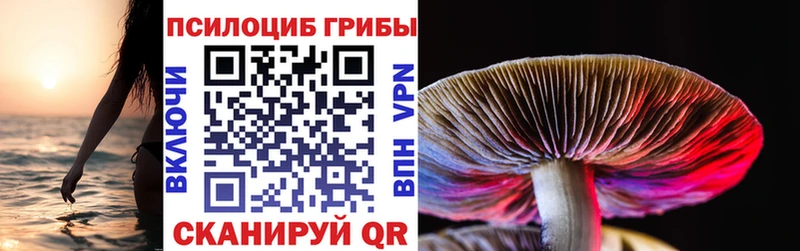kraken ССЫЛКА  Севастополь  Псилоцибиновые грибы MAGIC MUSHROOMS 