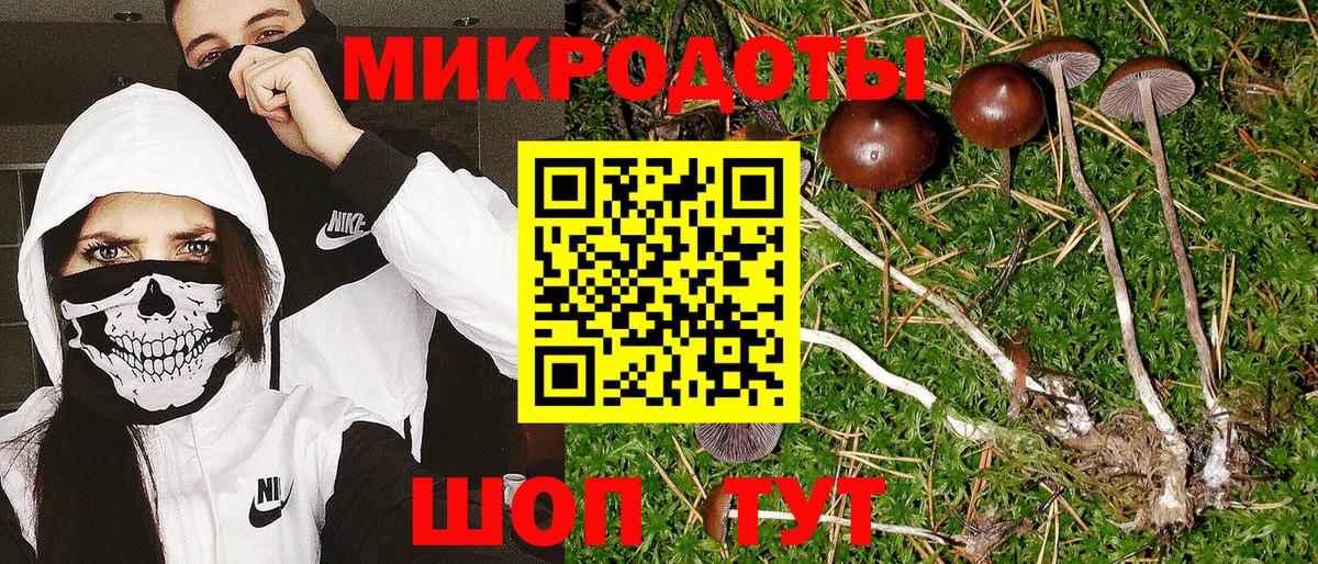 даркнет сайт  Псилоцибиновые грибы GOLDEN TEACHER  Севастополь  Псилоцибиновые грибы ЛСД 