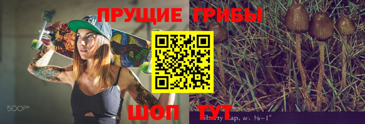 Псилоцибиновые грибы мухоморы Севастополь